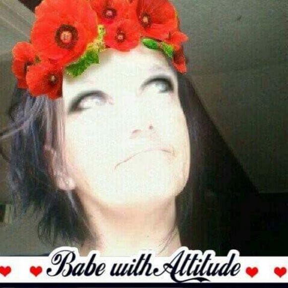 Meet your Posher, Shiloh - Picture 1 of 1